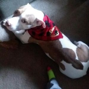 Meet your Posher, Christi